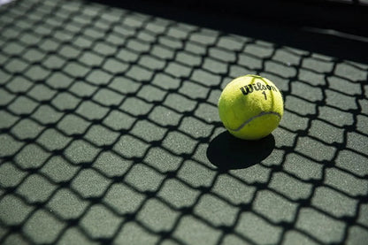 Championship Extra Duty Tennis Ball - 3 Ball Can